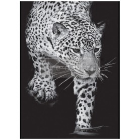 FOGLIO PER DECOUPAGE FELINE GAZE