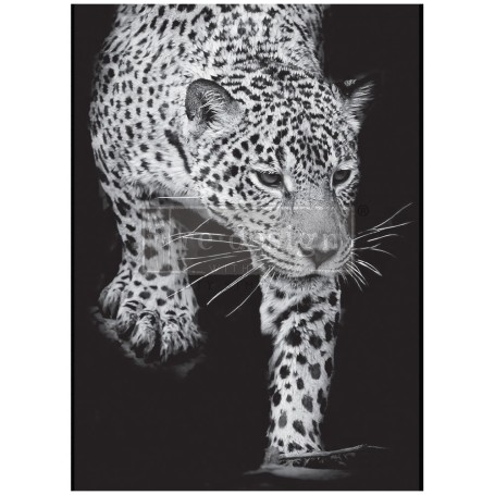 FOGLIO PER DECOUPAGE FELINE GAZE