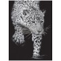 FOGLIO PER DECOUPAGE FELINE GAZE