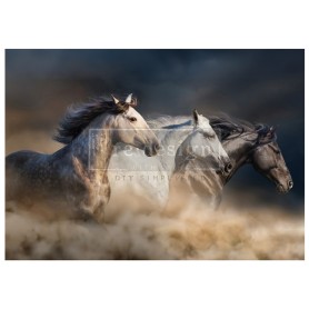 FOGLIO PER DECOUPAGE WILD HEARTS RUN FREE