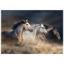 FOGLIO PER DECOUPAGE WILD HEARTS RUN FREE