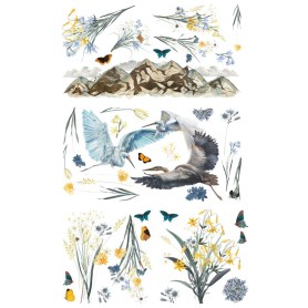 TRANSFER HOKUS POKUS A BIRDS VIEW