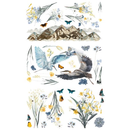 TRANSFER HOKUS POKUS A BIRDS VIEW