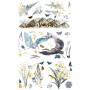 TRANSFER HOKUS POKUS A BIRDS VIEW