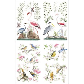 TRANSFER HOKUS POKUS BIRDS OF PARADISE