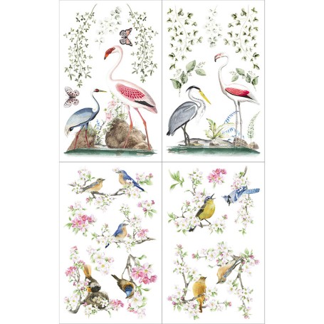 TRANSFER HOKUS POKUS BIRDS OF PARADISE