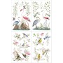 TRANSFER HOKUS POKUS BIRDS OF PARADISE