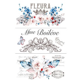 TRANSFER HOKUS POKUS FLUERA DE PARIS