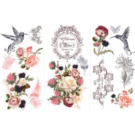 TRANSFER HOKUS POKUS JARDIN D'OISEAUX
