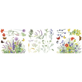 TRANSFER HOKUS POKUS BOTANICAL