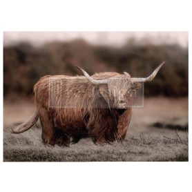 FOGLIO PER DECOUPAGE HIGHLAND GRACE
