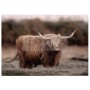 FOGLIO PER DECOUPAGE HIGHLAND GRACE
