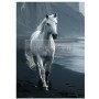 FOGLIO PER DECOUPAGE SEASHORE SPRINTER