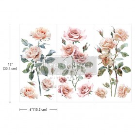 BLUSH SYMPHONY SMALL TRANSFER