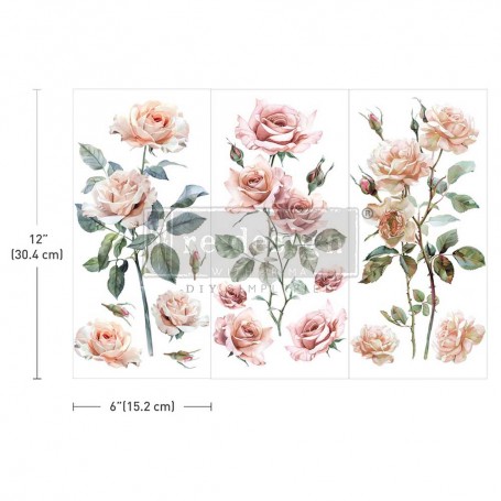 BLUSH SYMPHONY SMALL TRANSFER