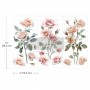 BLUSH SYMPHONY SMALL TRANSFER
