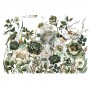 BOTANICAL JOURNAL TRANSFER