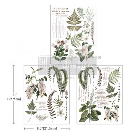 GREENERY GRACE MIDDY TRANSFER