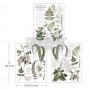 GREENERY GRACE MIDDY TRANSFER