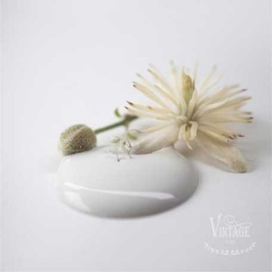 Colori 700 ml Vintage Paint | Arte Mestieri Shabby